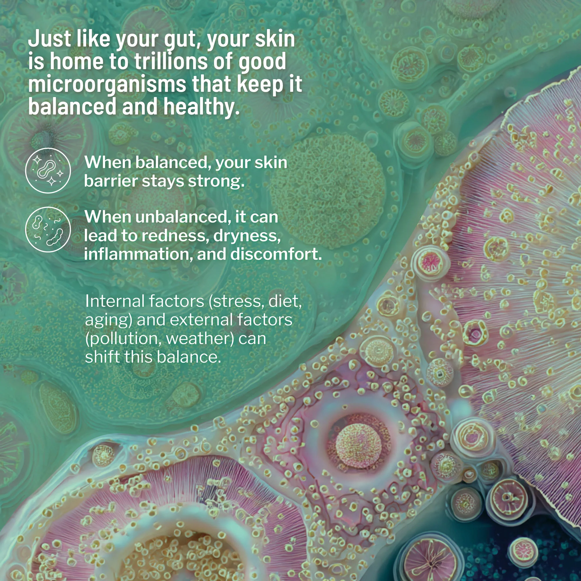 Clean Biotic - Image 3