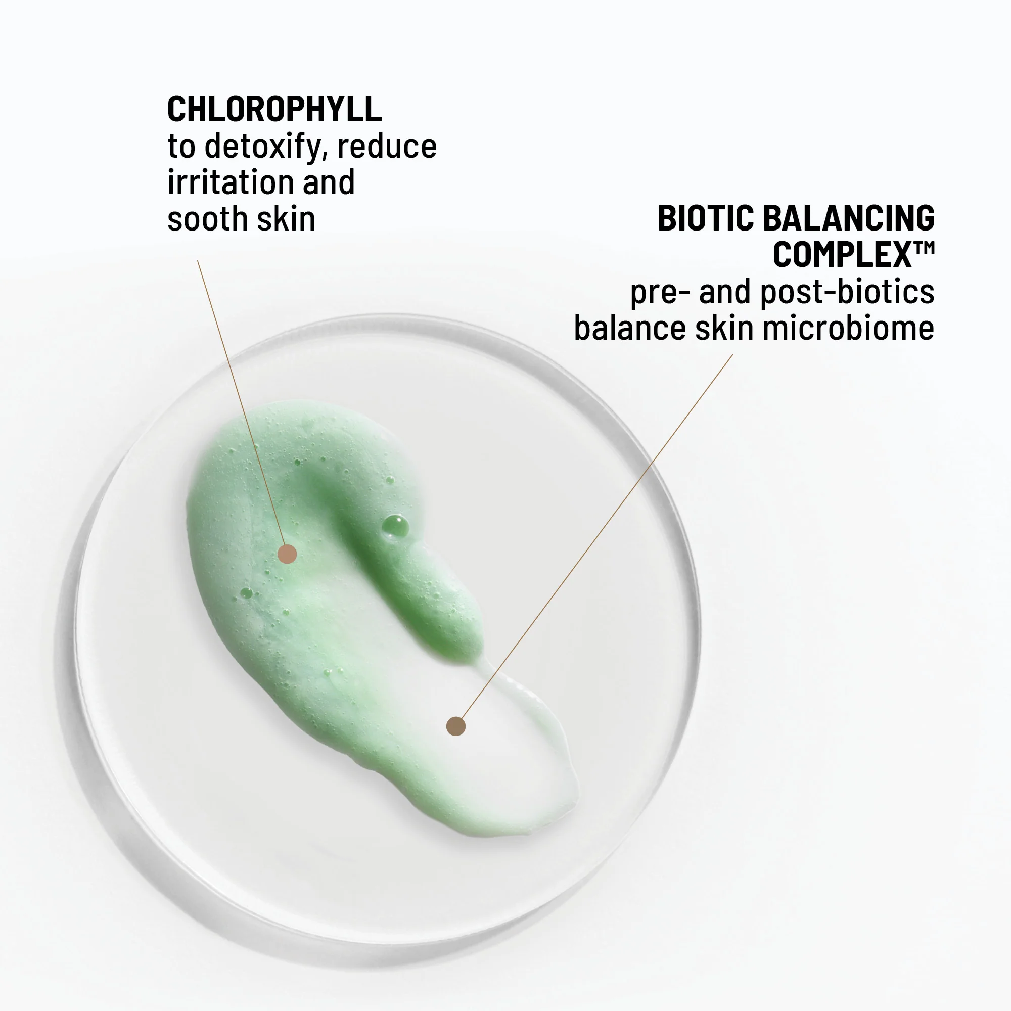 Clean Biotic - Image 5