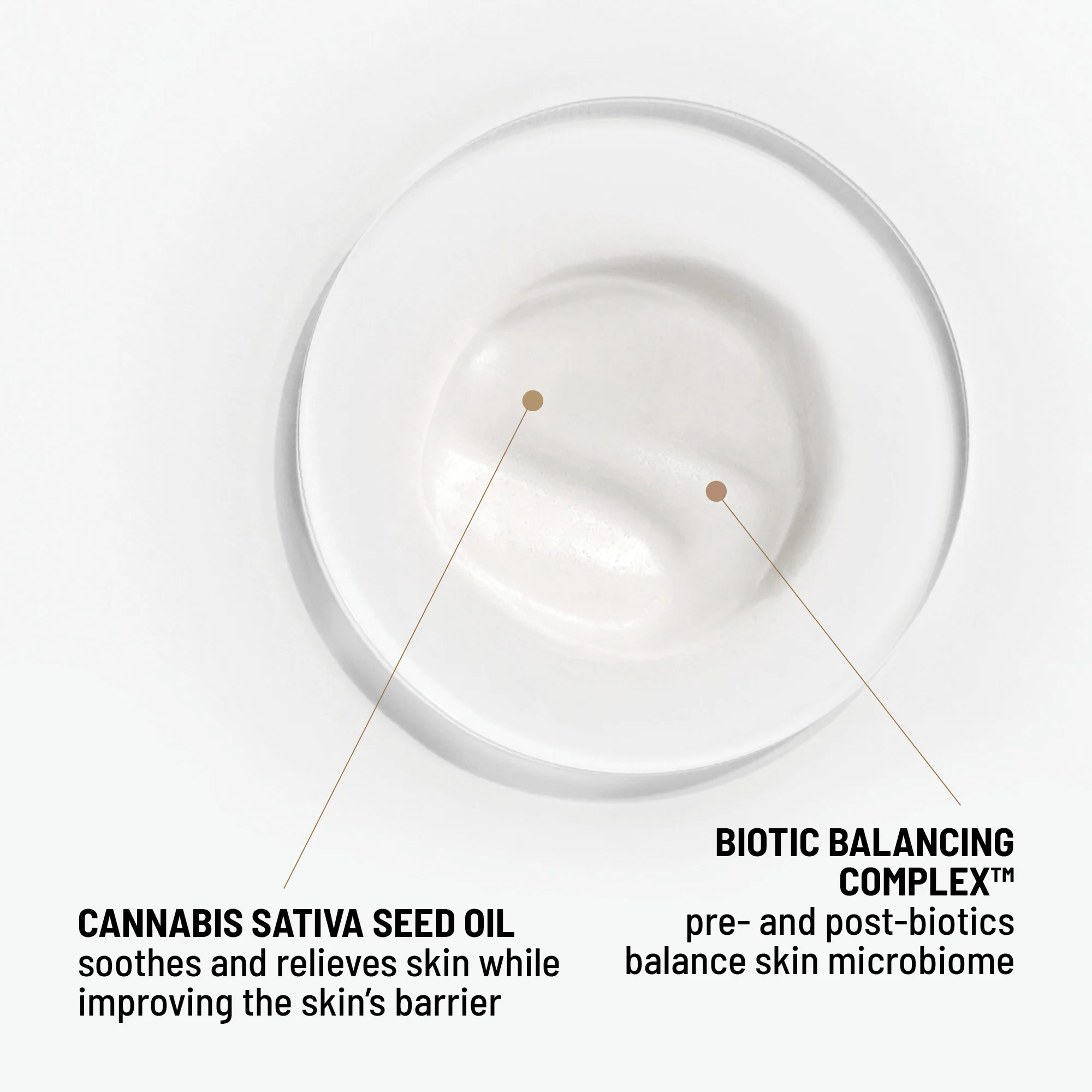 Cool Biotic - Image 7