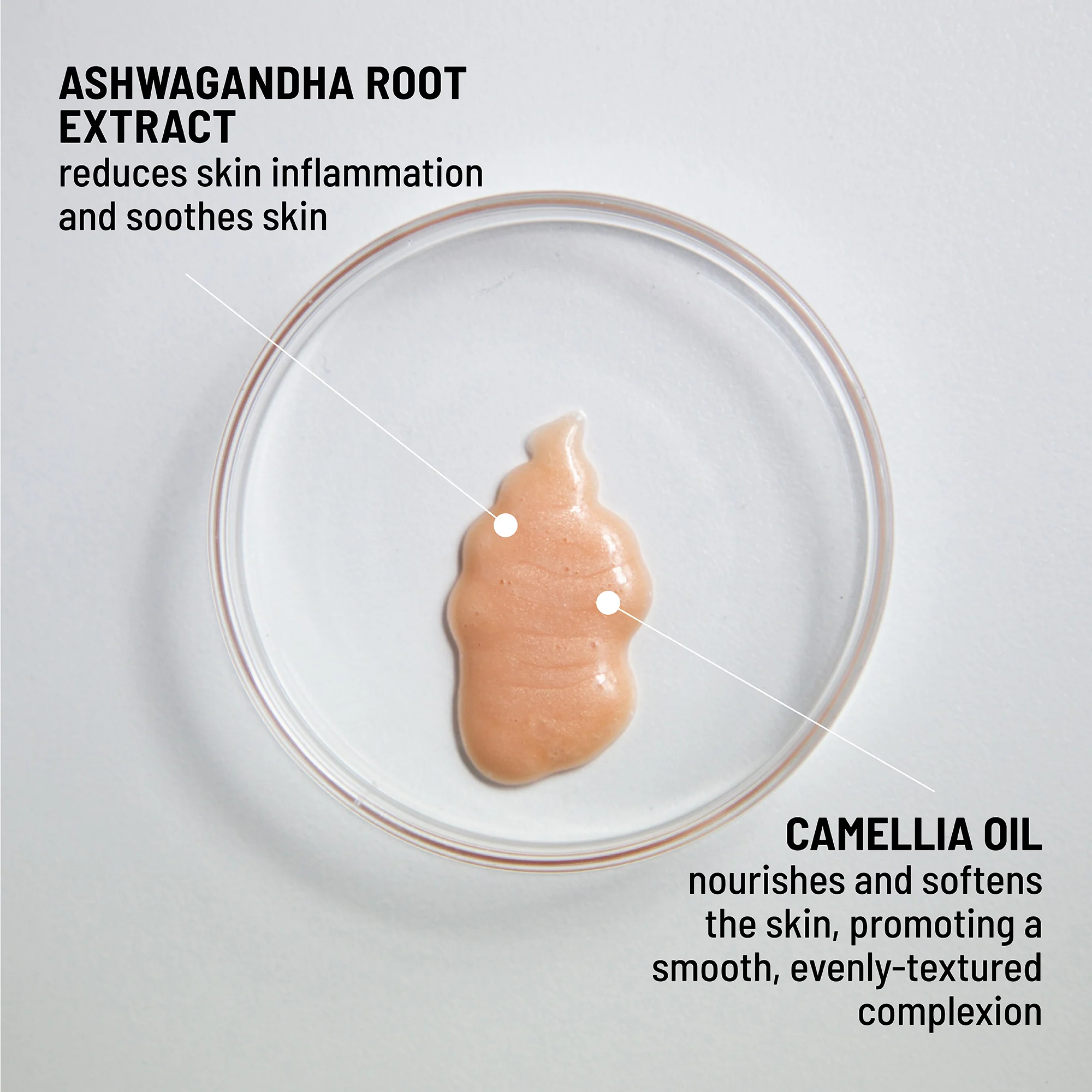 Hydrating Serum-to-Highlighter - Image 3