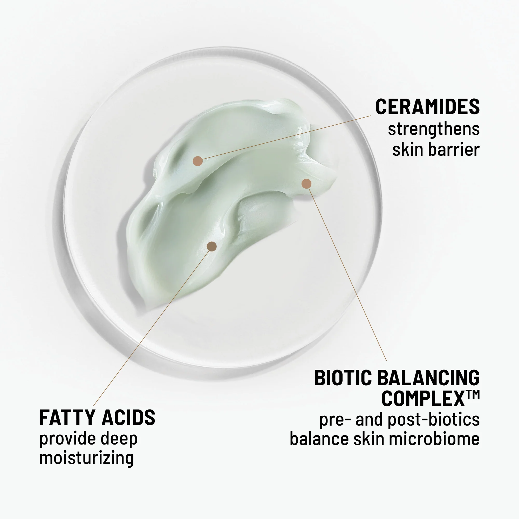 Hydro Biotic - Image 6